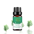 10ml Pure Cypress Essential Oil in brown glass bottle for aromatherapy and massage - Cypress (cypress) Formula