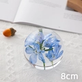 8cm crystal ball ornament with preserved blue dried flower interior on white fabric - Blue Larkspur Ball 8cm (Kraft Box)
