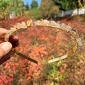 Handmade golden crown headband with raw yellow crystal quartz stones for women - Double Row / Rutilated Quartz-Double Row