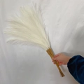 Close-up of white artificial pampas grass plumes with natural stalks for boho decor - 53-55cm / Milk White