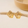 Macro shot of geometric gold hoop earrings with sparkling zircon crystals on branch - EH411026