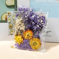 Assorted dried flowers pack with purple baby's breath and strawflowers for DIY crafts - Dried Flowers Bag Purple 14.5g