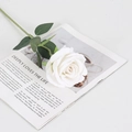 Single white artificial velvet rose with green stem on open magazine for home decoration - Large Velvet White