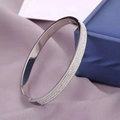 Luxurious silver-tone titanium steel bangle with multi-row pave setting on satin - Double Row Rhinestone / Silver