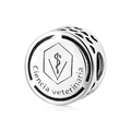 S925 sterling silver bead charm featuring Ciencia veterinaria engraving and medical symbol - Veterinary Science