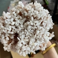 Handmade clear crystal tree ball crafted with copper wire and natural crushed stones - White Moonstone