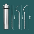 Portable 4-piece stainless steel toothpick set with case in polished metal finish - 4-Piece Short Pick Set