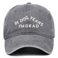 Détail du texte brodé 'IN DOG YEARS I'M DEAD' sur casquette de baseball en coton gris délavé - Taille unique / Gris