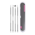 4-piece stainless steel acne needle set with clear plastic case for skincare - 4Pcs Acne Needle Set + Box