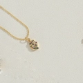 Detaillierte Nahaufnahme einer 14K vergoldeten Muschelhalskette mit bunten Zirkonsteinen - Bunter Zirkonia Schnecke (XL2996-3)