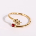 Macro shot of gold zodiac ring with Aquarius symbol and inlaid round red gemstone - Aquarius - Gold