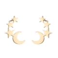 Detailed view of golden celestial star and moon stud earrings on a clean white background - Gold