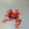 Close-up of 3D printed red frog toy with movable joints and visible layered texture - Frog / Silk Red