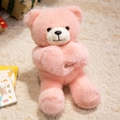 Pink plush teddy bear holding a heart with love embroidery sitting on a soft carpet - Pink Heart Style