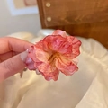 Pink and peach gradient fabric flower hair clip shown held by hand with soft texture - Small Camellia Hair Claw Burgundy