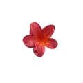 Plumeria claw clip featuring a translucent magenta to orange gradient with glitter finish - Frangipani Hair Clip / Watermelon red