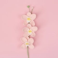 Hand-knitted orchid bouquet with 3 pink flowers and white centers on a pink background - Three Orchid Branches / Pink