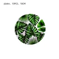 Platos de papel desechables de hojas de palma 10 piezas 18cm para vajilla de fiesta - 10 Platos de 7 Pulgadas