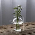 Platte paddenstoel glazen vaas voor hydroponie, helder glas en 11cm hoog product - Platte Paddestoel (Klein)