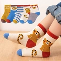 Five pairs of kids cotton tiger socks in yellow, blue, and grey striped patterns - Flat Tiger / 3-5 Years (Feet length 13-15cm)