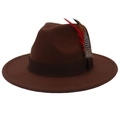 Classic dark brown wide-brim wool fedora hat with satin ribbon and colorful side feather - M (56-58cm) / Coffee (Matching Feather)