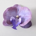 Testa di orchidea artificiale in sfumatura viola con texture dettagliate dei petali - Pellicola 3D Viola N. 2 (Piccolo)