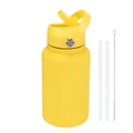 650ml yellow insulated sports water bottle with straw lid, carrying handle and brush - 650ml / Lemon Yellow
