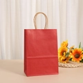 Detail of red kraft paper gift bag with twisted rope handle on a clean white background - Dark Red