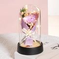 Preserved purple carnation and gypsophila bouquet in glass dome with LED lights - Purple Carnation Light + Gift Bag + Teacher's Day Card
