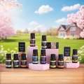 Detailed close-up of 10ml essential oil glass bottles with droppers and colorful boxes - Essential Oil Refill / Random 1PC