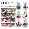 Set of 12 transparent 6cm PET Christmas baubles with pine needles and berries - Style 1
