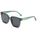 Moderne Trend-Sonnenbrille mit transparent grünem Rahmen und grauen Gläsern - Transparenter Grüner Rahmen Graue Linse