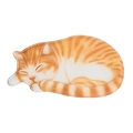 Tappetino da bagno 3D antiscivolo a forma di gatto striato arancione e bianco - Gatto Giallo e Bianco