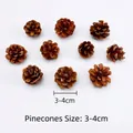Set of 10 natural brown pine cones in 3-4cm size for DIY Christmas tree decoration - Natural Pine Cone 10pcs [3-4cm]