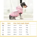 Size guide for pink fleece pet hoodie with white wings decoration and antler hood - XS / Pink Little Wings Hoodie