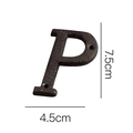 Lettera P decorativa in ghisa nera per numeri civici, targa in metallo altezza 7,5 cm - Lettera in Ghisa-P