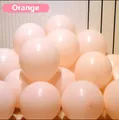 Pastel orange macaron balloon set made of premium latex for birthday party decoration - 5 Inch/1.1g/200 Pieces / Macaron Orange