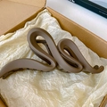 Dettaglio di una grande clip per capelli marrone opaco in una scatola regalo - Caffè Scuro (Onda)
