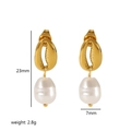 Golden shell earrings with irregular pearls, 23mm x 7mm minimalist fashion jewelry set - Gold Shell Pearl Earrings (TE6403-G)