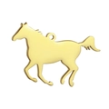 Pony Gold
