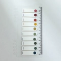 Morandi PET-Index-Sticker rund auf 14cm Lineal-Board für Loseblatt-Notizbücher und Planer - Herbst Mango Gepunktet