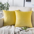 Solid yellow velvet decorative throw pillow covers set of two on a cozy beige sofa - 30*50cm (No Insert) / Goose Yellow