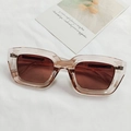 Champagne cat-eye sunglasses with transparent frame and dark brown lenses for women - Champagne