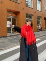 Thick red cashmere scarf with fringe details worn with a casual black coat style - Thickened Tassel Style (350g) / 200*70cm / Red
