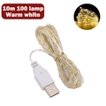 10m Warm White LED Copper Wire String Light with 100 LEDs and USB Power Connector - 10m 100 LEDs / Warm White