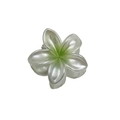 4cm glitter flower hair claw clip with pearlescent white and green gradient finish - Pearly Frangipani / Green