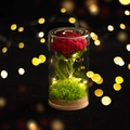 Rosa rossa lavorata a mano in vetro con luci LED e base in sughero naturale - Rosso Rosa