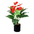 Artificial red anthurium plant in a black pot for home and office interior decoration - Large Nordic Black Pot + Stones + 18-Prong Large Anthurium