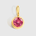 Gold plated stainless steel pendant with a round pink cubic zirconia gemstone - Gold - July Rose Red