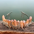 Macro detail of natural orange crystal crown with silver moon and branch metallic elements - Brown